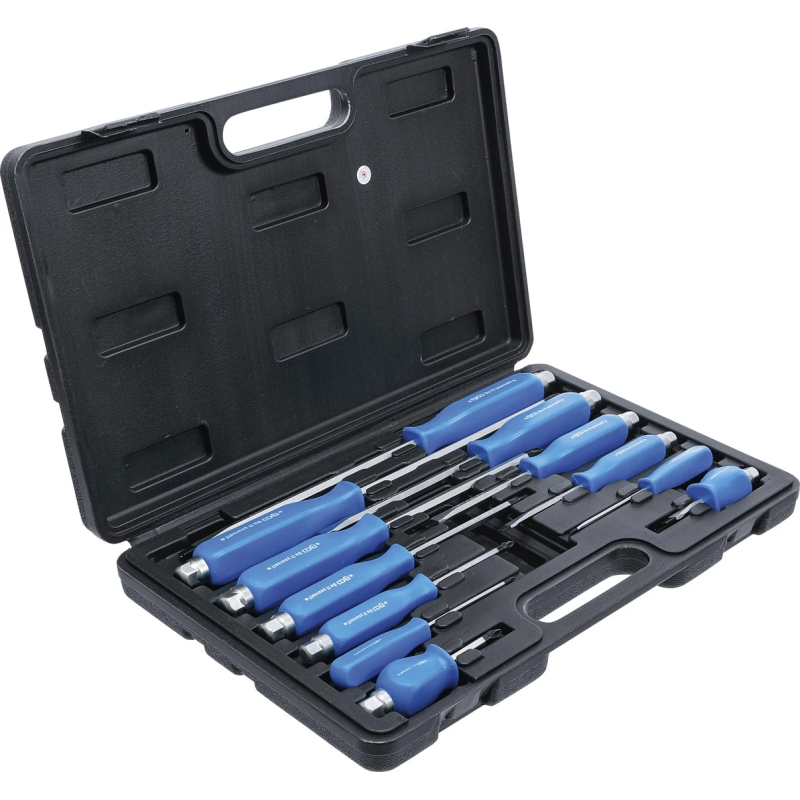 Skrūvgriežu komplekts - 12 gab.