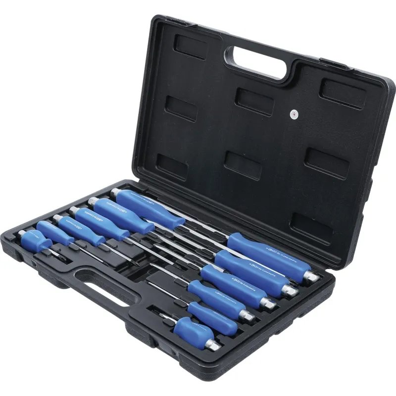 Screwdriver Set - 12 pcs.
