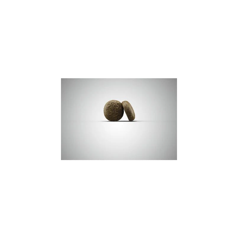 Sausā barība suņiem JOSERA Salmon&Potato, 900g