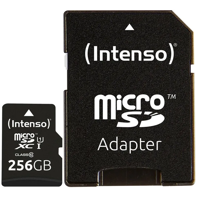 Atmiņas karte Intenso, 256 GB