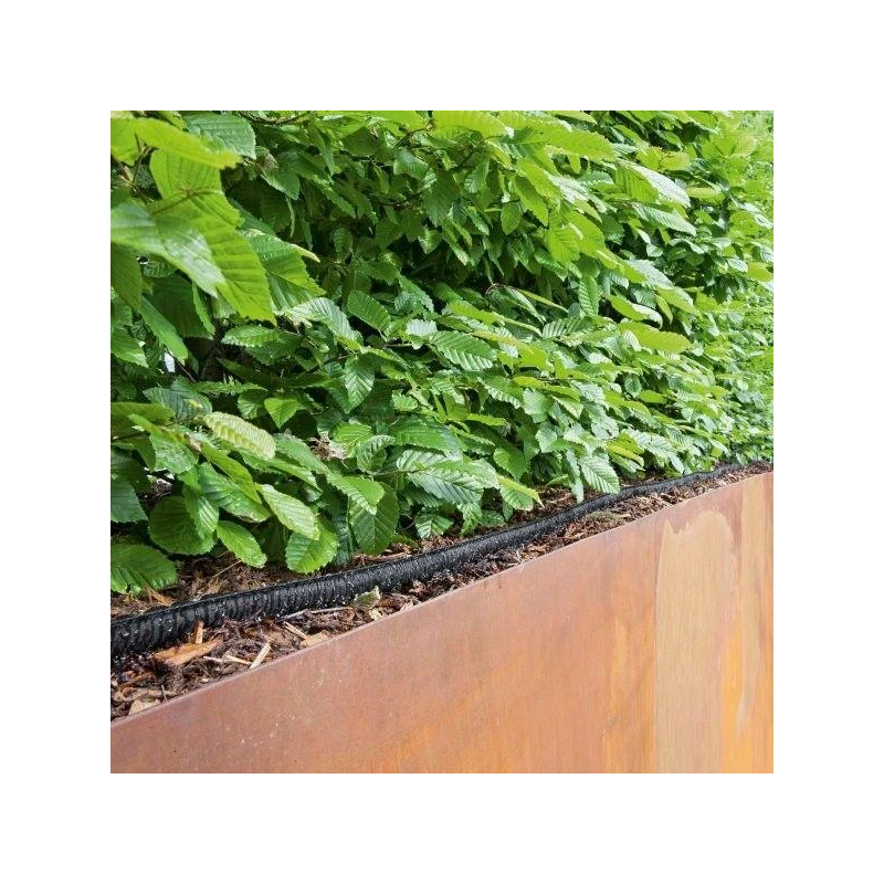 Laistīšanas šļūtene 1-2in25m2.645-228.0