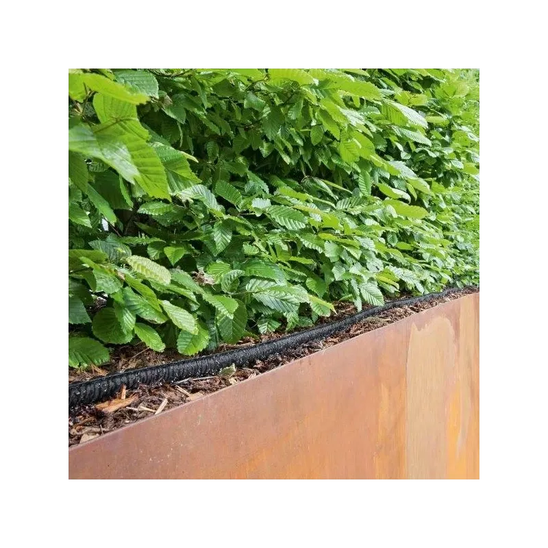 Laistīšanas šļūtene Kärcher 2.645-228.0, 12.5 mm, 25 m