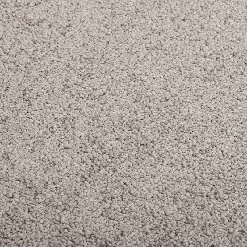 vidaXL durvju paklājs, pelēks, 60x80 cm