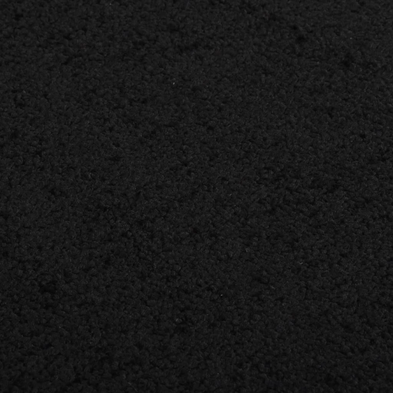 vidaXL durvju paklājs, melns, 40x60 cm