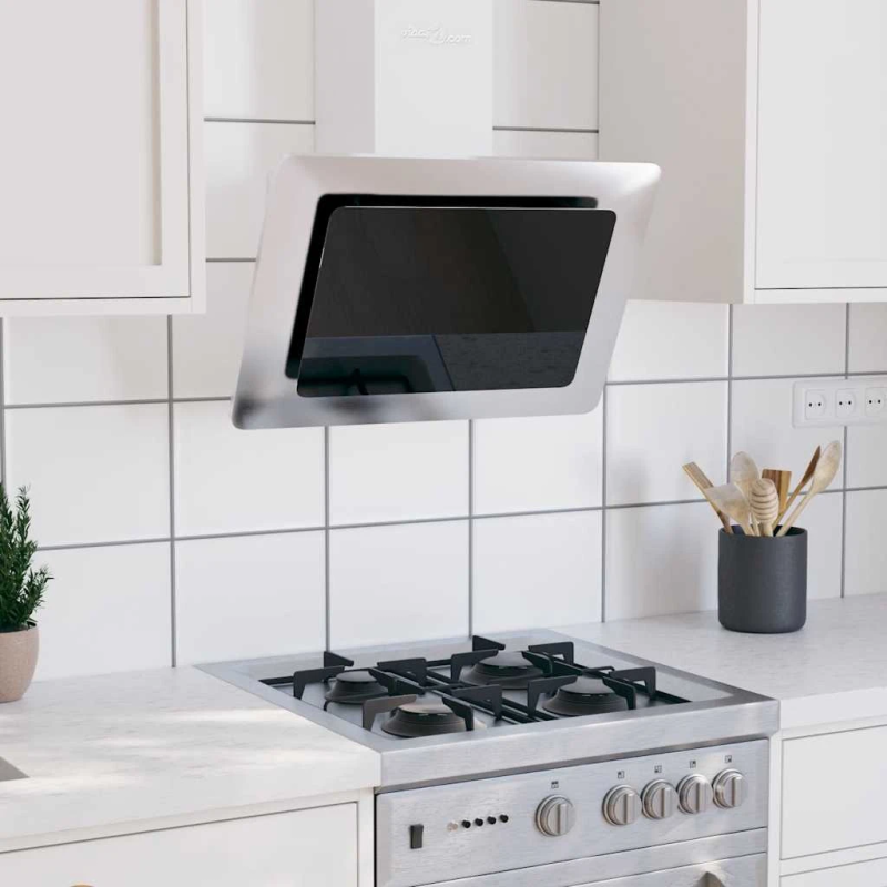 vidaXL tvaika nosūcējs, 60 cm, nerūsējošs tērauds un rūdīts stikls