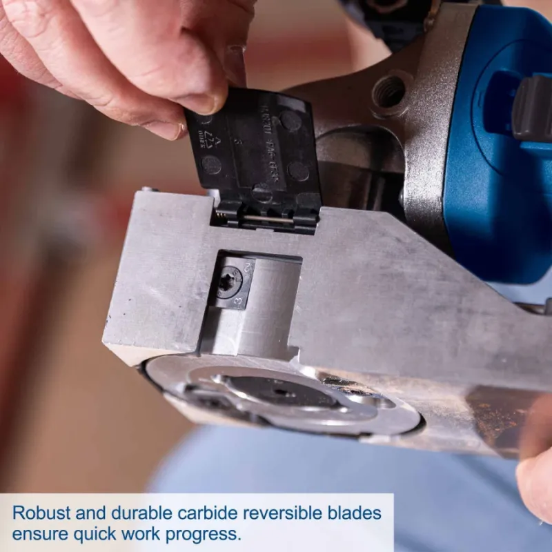 Krāsas noņēmējs LFR720, Scheppach