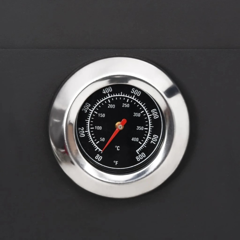 vidaXL dārza picas krāsns, kurināma ar kokoglēm, 2 šamota ķieģeļi