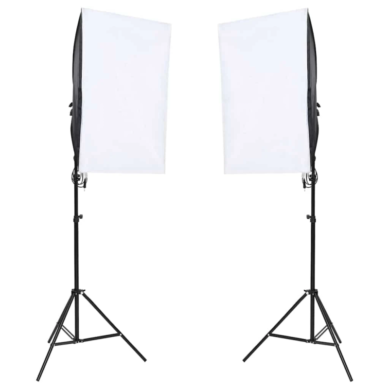 vidaXL profesionālas fotostudijas gaismas, 2 gab., 40x60 cm