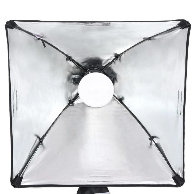 vidaXL fotostudijas komplekts, gaismas un fons