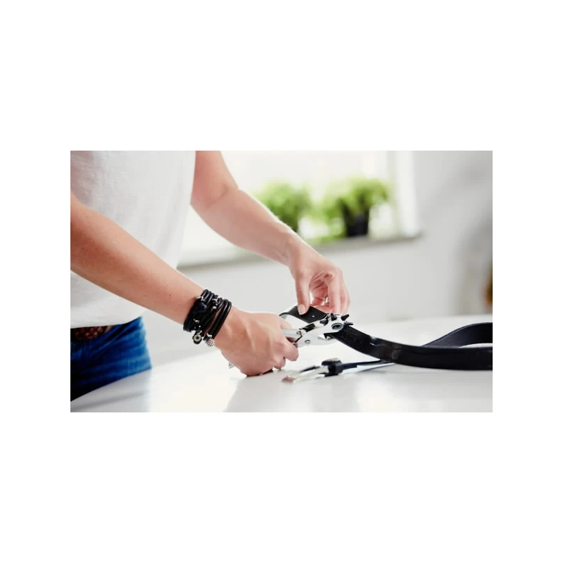 Caurumu izspiešanas stangas ar rotējošu galvu RP03, Rapid