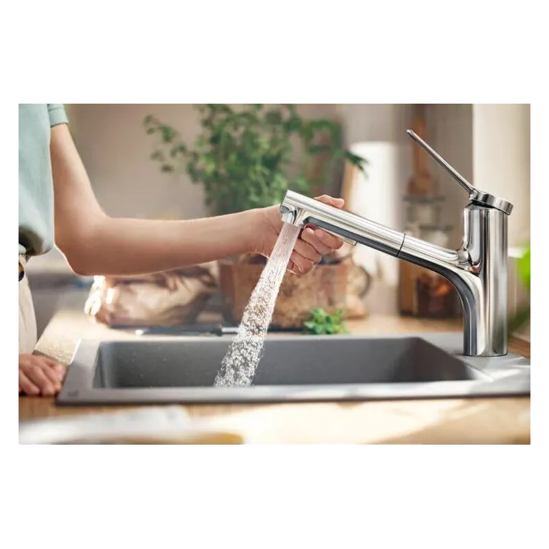 Virtuvinis maišytuvas Hansgrohe Zesis M33, chromo sp.