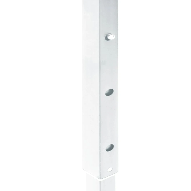 vidaXL svinību nojume, saliekama, balta, 2x2 m