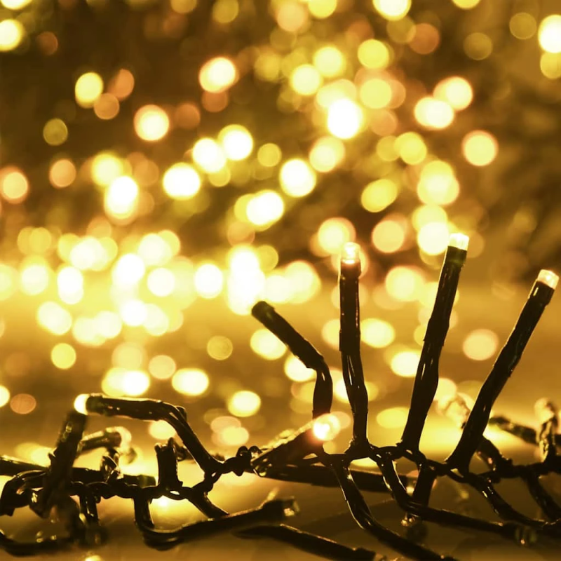 vidaXL LED lampiņu virtene ar 1000 LED, silti balta, 11 m, PVC