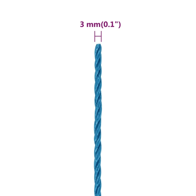 vidaXL darba virve, zila, 3 mm, 100 m, polipropilēns
