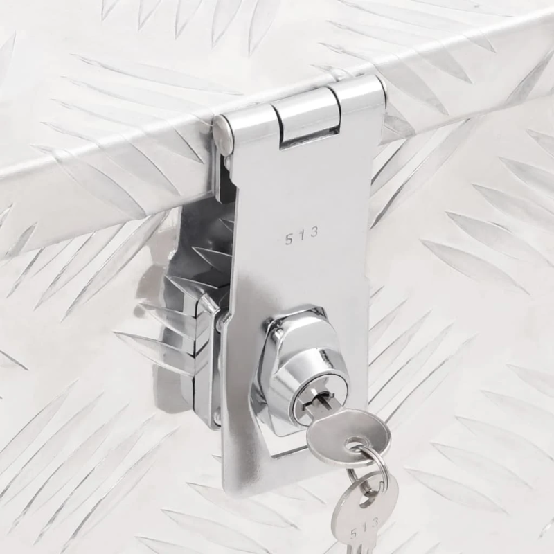 vidaXL uzglabāšanas kaste, sudrabaina, 80x39x30 cm, alumīnijs