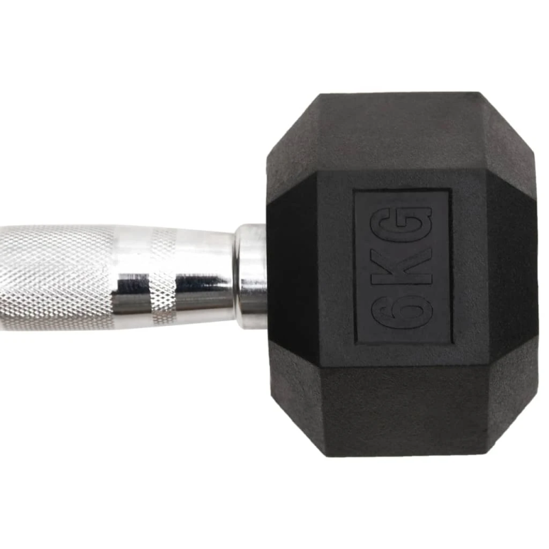 vidaXL hanteles, 2 gab., 12 kg, kopējais lējuma dzelzs