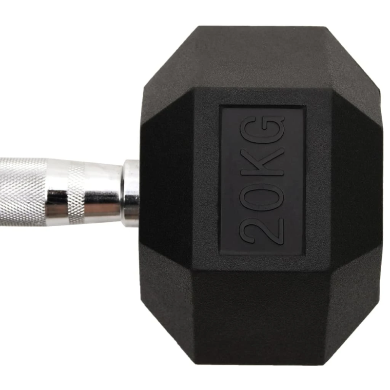 vidaXL hantele, 20 kg, čuguns