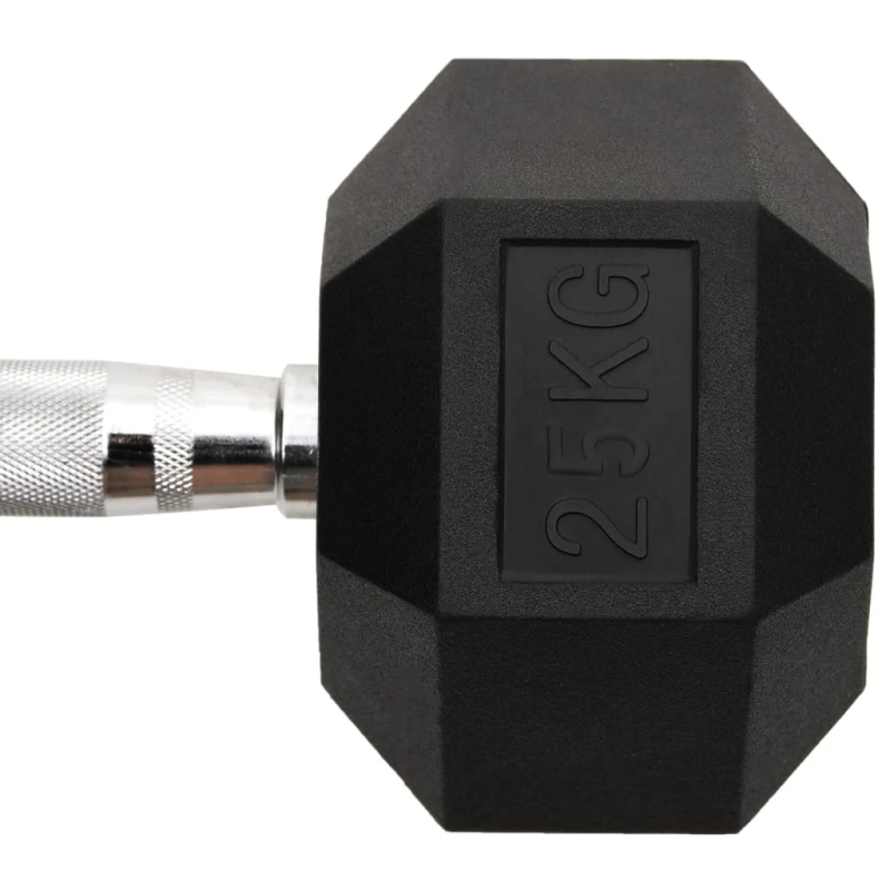 vidaXL hantele, 25 kg, čuguns