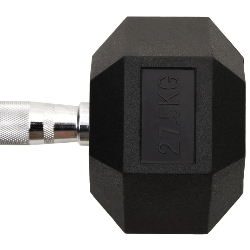 vidaXL hantele, 27,5 kg, čuguns