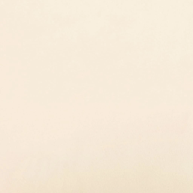 vidaXL dekoratīvi spilveni, 2 gab., krēmkrāsas, 40x40 cm, samts