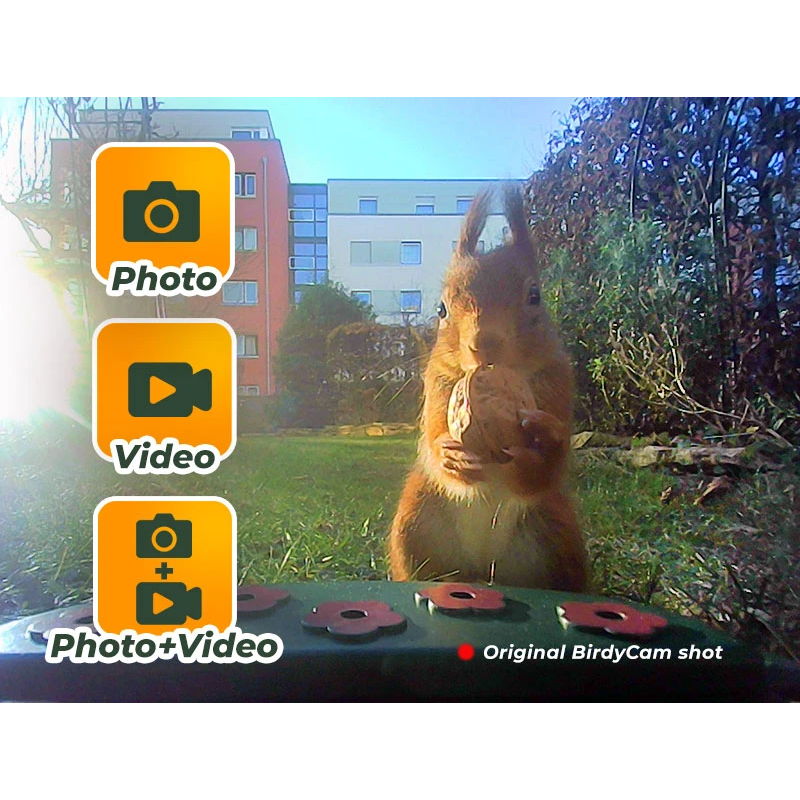 Easypix BirdyCam