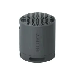 Беспроводная колонка Sony SRS-XB100, черный, 5 Вт