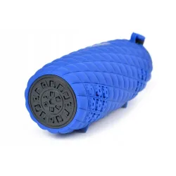 Toshiba Sonic Blast 2 TY-WSP80 Blue