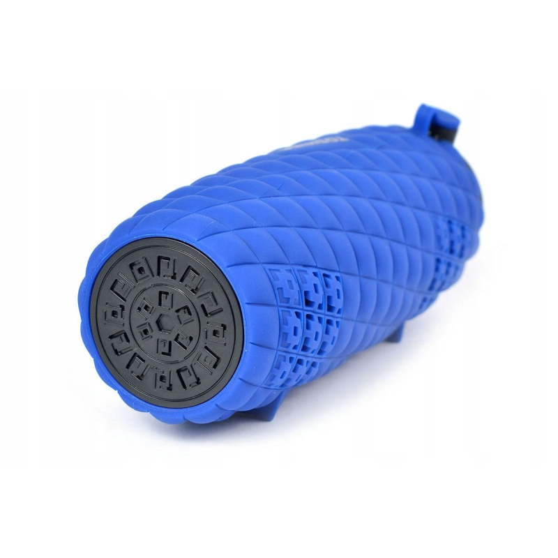 Toshiba Sonic Blast 2 TY-WSP80 Blue