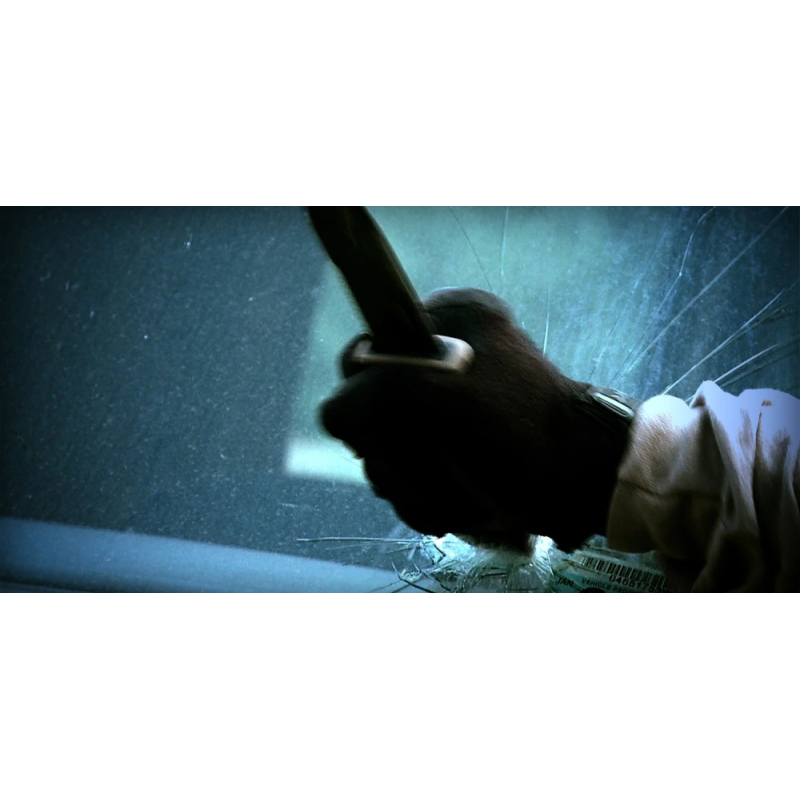 Nazis lmf ii survival - coyote brown