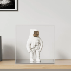 vidaXL vitrīnas kaste, caurspīdīga, 40x36x35 cm, akrils