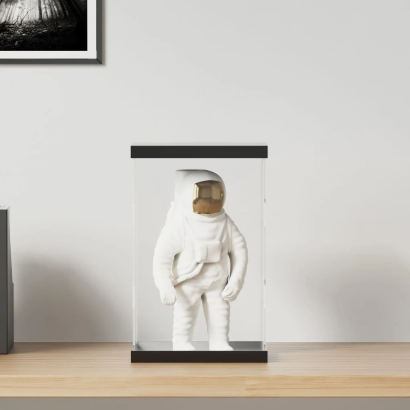 vidaXL vitrīnas kaste, caurspīdīga, 22x18x35 cm, akrils