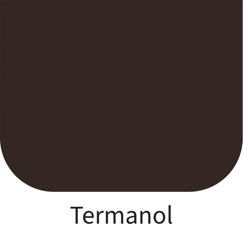 Krāsa karstumizturīga termanol 600c 0.45l