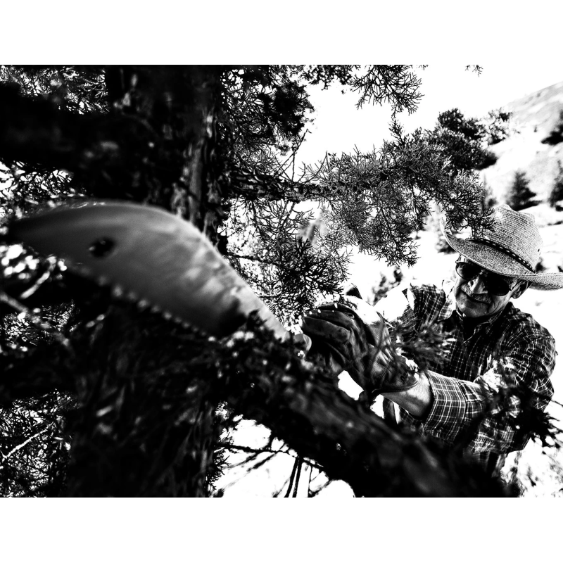 Mačete machete clearpath