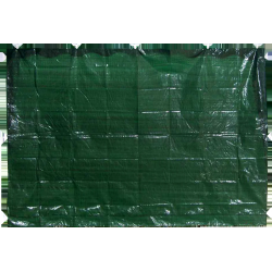 Siena nojumei 195x290cm zaļa