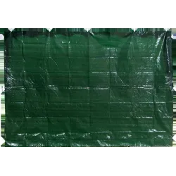 Siena nojumei 195x290cm zaļa