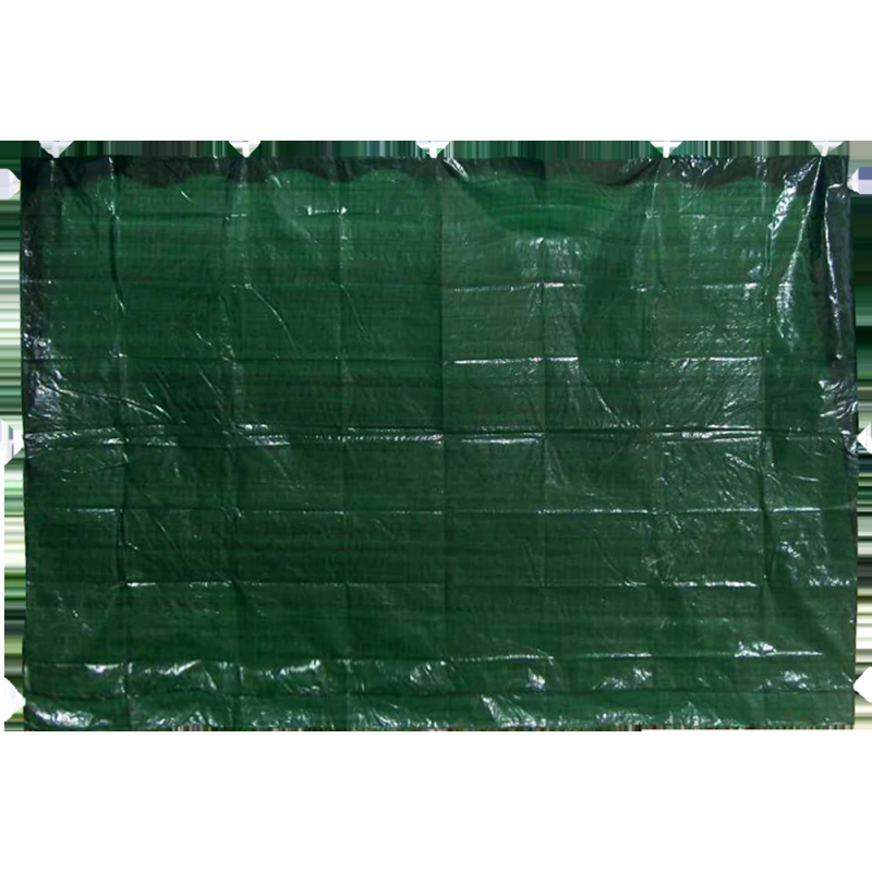 Siena nojumei 195x290cm zaļa