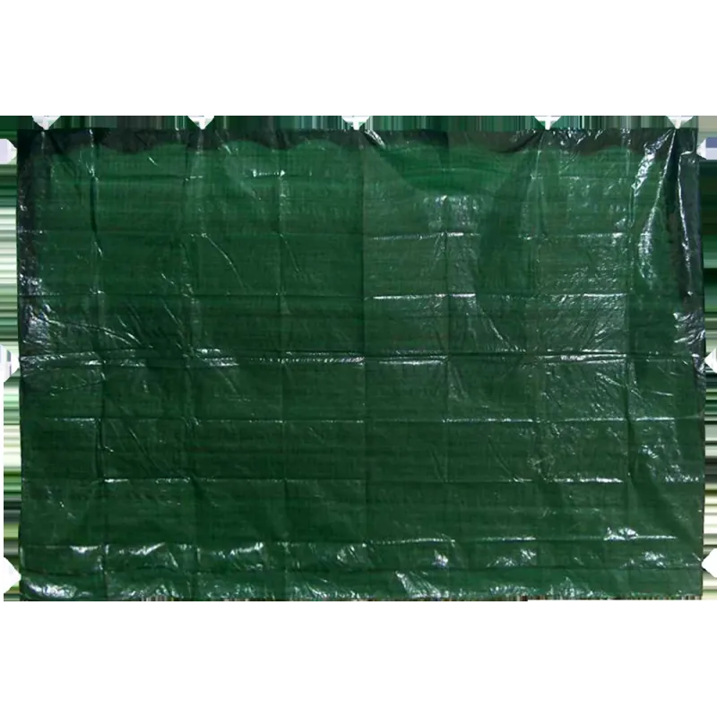 Siena nojumei 195x290cm zaļa