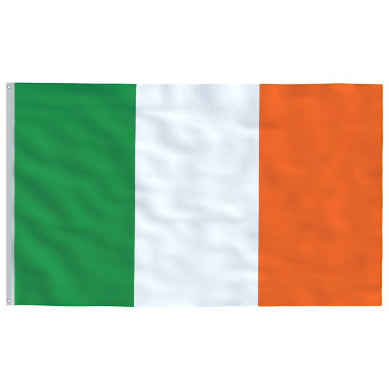 vidaXL Īrijas karogs un masts, 5,5 m, alumīnijs