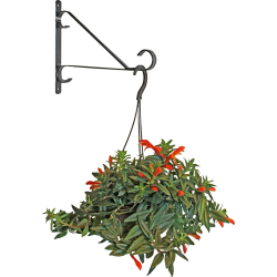 Puķu poda turētājs sienas, metāla 25.4cm