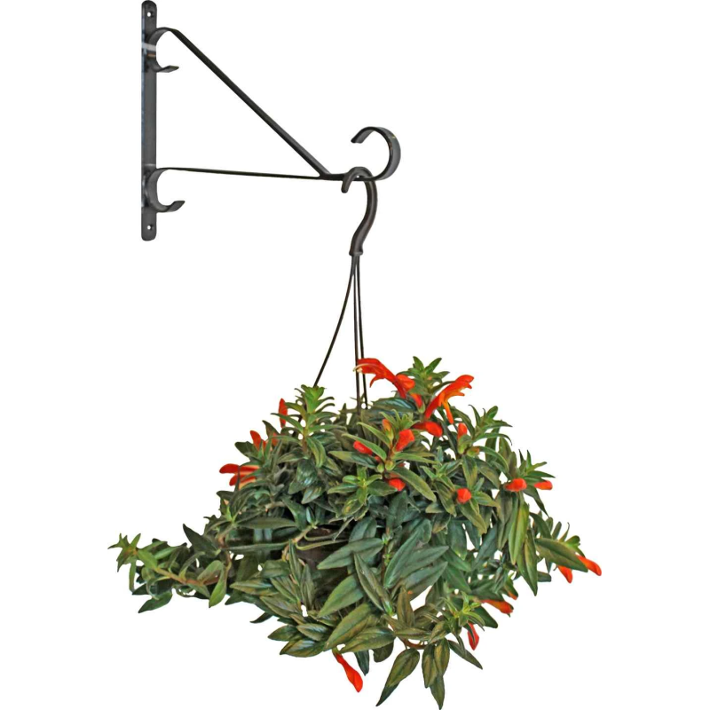 Puķu poda turētājs sienas, metāla 25.4cm