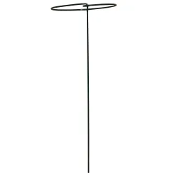Augalų atrama 61cm