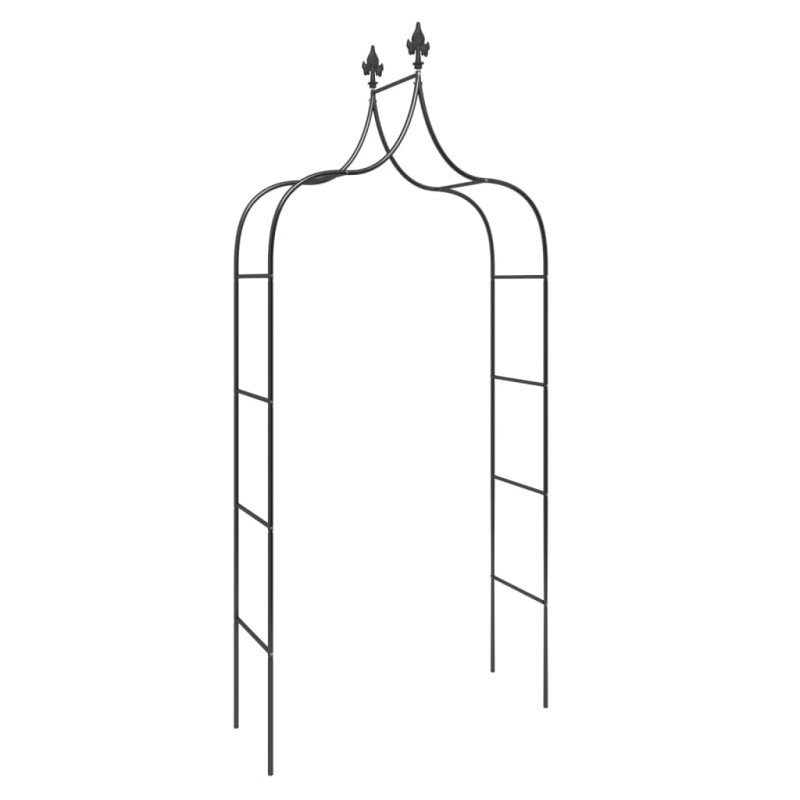 vidaXL dārza arkas, 2 gab., melnas, 120x38x260 cm, tērauds
