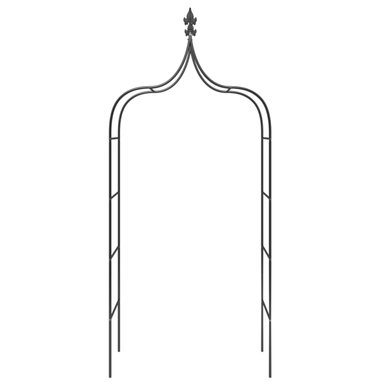 vidaXL dārza arkas, 2 gab., melnas, 120x38x260 cm, tērauds