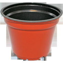 Podiņi apaļie brūnie 10cm, 10gb