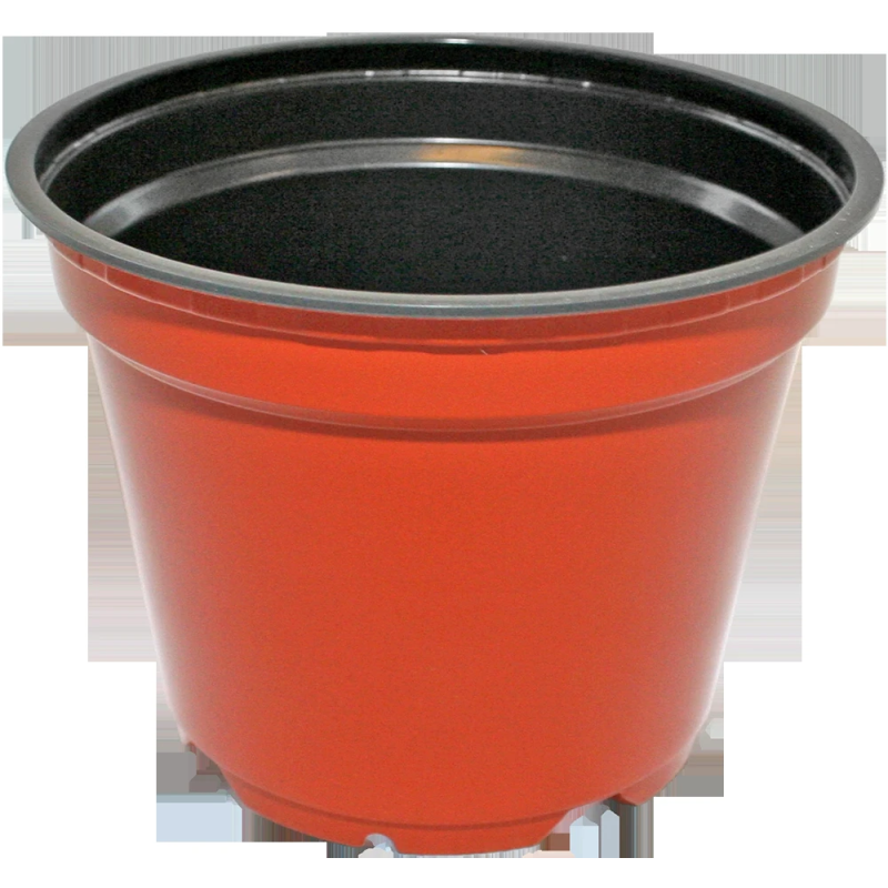 Podiņi apaļie brūnie 13cm, 10gb