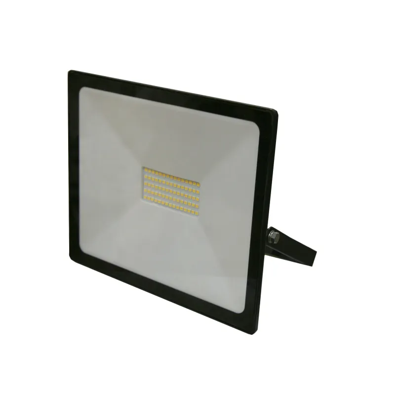 Prožektors LED 100W-IP65 melns