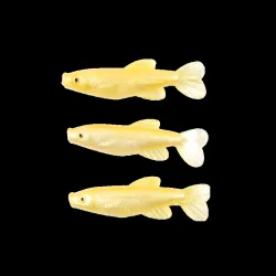 Vibroaste Pro Catch W021 90mm,3gb