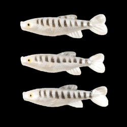 Vibroaste Pro Catch W024 105mm,3gb