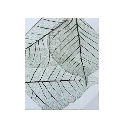 Reprodukcija 40x50cm
