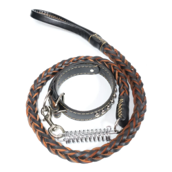 Pavada suņiem ar kaklasiksnu, ādas